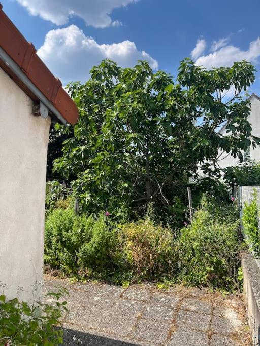Lovely House Close To Paris Vitry-sur-Seine Exterior photo